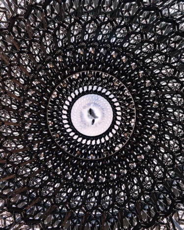 Creator's Favorite Image