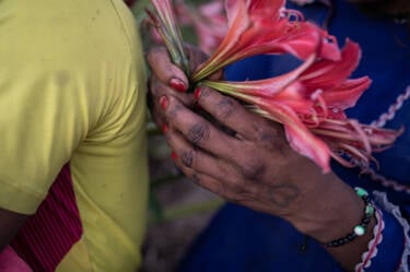 Lena Mucha's images for Nikon magazine
