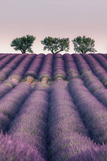 Nikon magazine - Travel stills and video