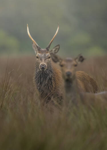 Nikon magazine - The Set Up