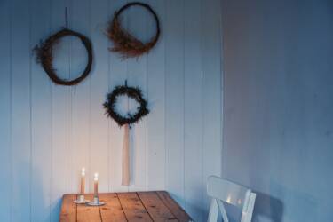 Nikon magazine - the NIKKOR Z DX MC 35mm f/1.7