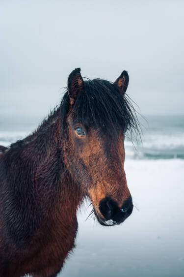 Nikon magazine - Norris Niman using the NIKKOR Z 24-70mm f/2.8 S II for video